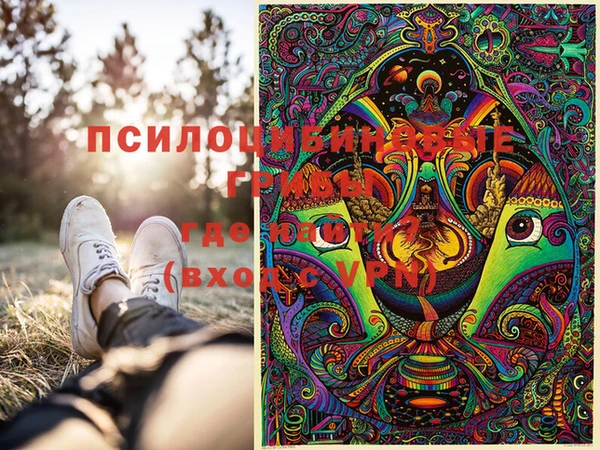 стаф Алексеевка