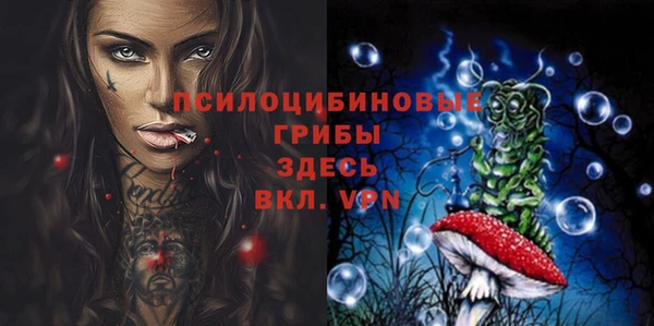 героин Алексин