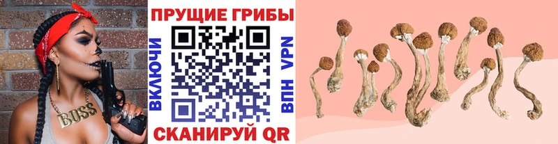 Псилоцибиновые грибы MAGIC MUSHROOMS  Похвистнево 